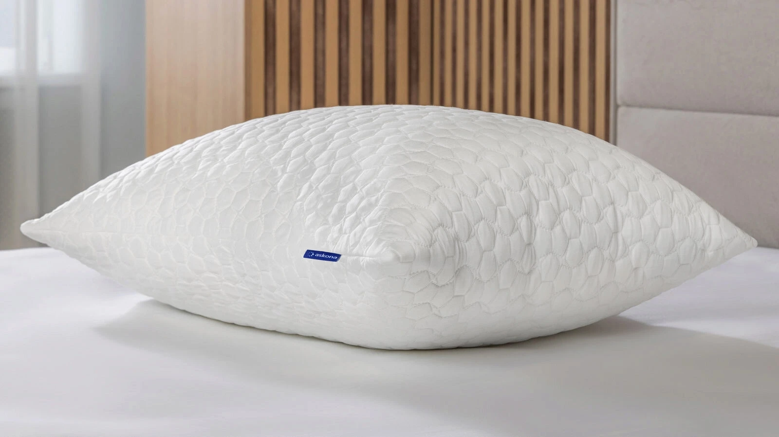 Защитный чехол Protect-a-Pillow Arctic Plus фото - 1 - большое изображение